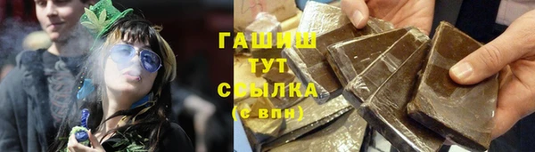 прущий лед Алзамай